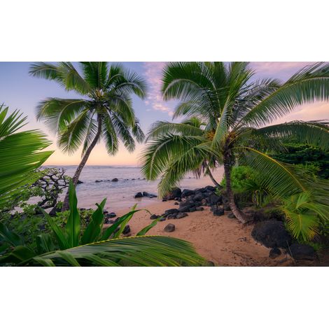 Papier peint panoramique naturel Rêves Hawaïens (1/4)