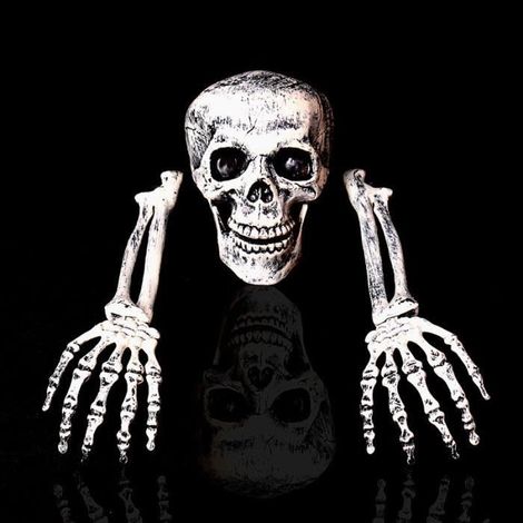 Décoration de crâne d'halloween horrible - Aueq - accessoires pour halloween (1/4)