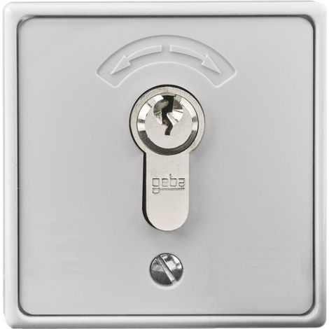 RADEMACHER Schlüsseltaster gr 2S AP IP54 mt 4596 (1/5)