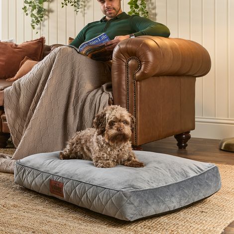 Paws for Slumber Padded Pet Bed, Grey, Medium