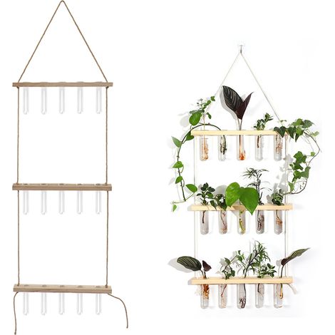 Ornement hydroponique créatif en verre à 3 niveaux et 5 trous, décoration murale pour plantes vertes, cadre en bois suspendu, tube à essai, vase en verre, récipient pour plantes hydroponiques, couleur (1/5)