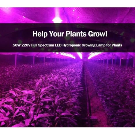 50W 220V LED Éclairage Ampoule de Plante Intérieur Lampe de Croissance pour des Plantes,des Fleurs,des Légume Intérieur/Serre/Jardin (1/4)