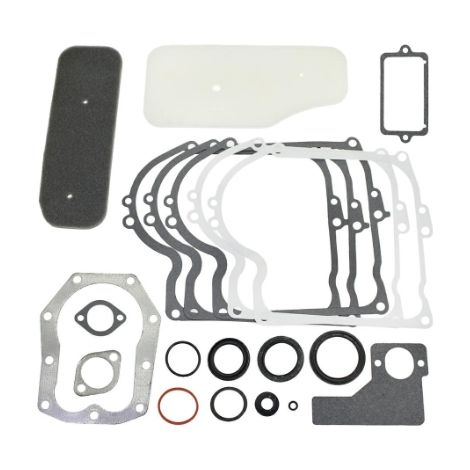 Serie segmenti kit guarnizioni BRIGGS&STRATTON 320028 393411 motori vecchi 10HP