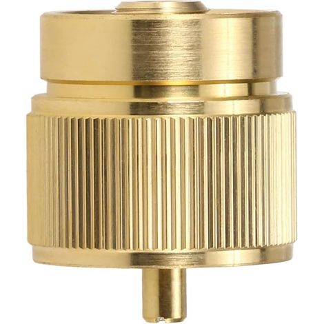 Adaptateur de réchaud à gaz pour barbecue de camping, entrée : 473,6 g/0,5 kg, petite bouteille de propane, sortie : valve EN417 (1/5)