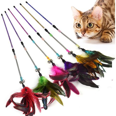 Jouet Canne à Pêche pour Chat avec Plumes Naturelles et Clochettes - Lot de 6 Jouets Interactifs pour Chat (1/5)