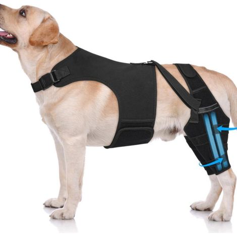 Genouillères pour chiens rupture LCA, ajustables 4 stabilisateurs, soutiennent hanche, soulagent douleur (XXL)