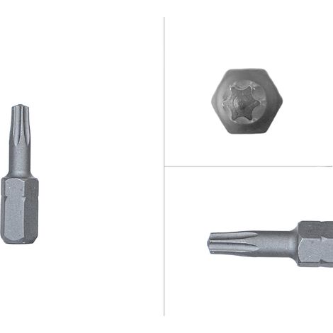 Torx Bits Set TX15 25mm - Pro 10 Stück (1/2)