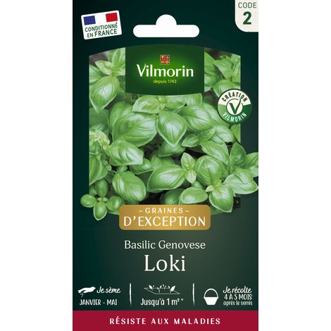 Vilmorin Basilic Loki - Graines d'Exception (1/2)