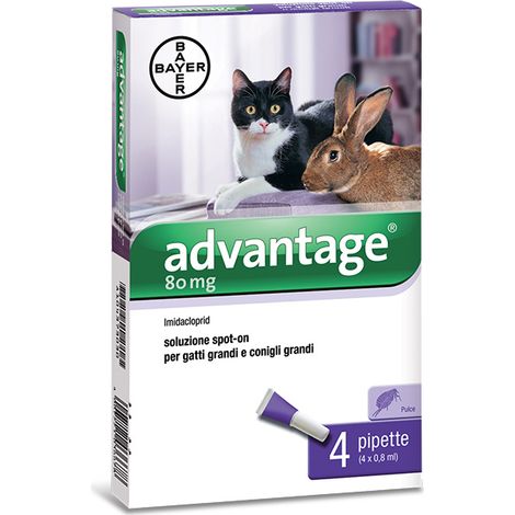 BAYER ADVANTAGE SPOT ON 80 GATTI OLTRE 4 KG- BAYER- 1,0 pz