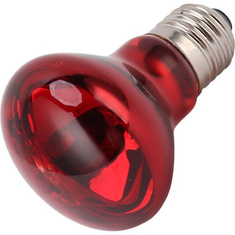 Ampoule chauffante multifonctionnelle E27 pour reptiles, 220-240 V, 75 W (1/5)
