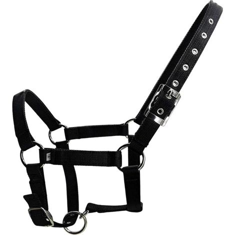 Licol épais pour cheval - Équipement d'entraînement pour chevaux - Accessoires d'équitation - Licol durable - Équipement d'équitation (1/4)