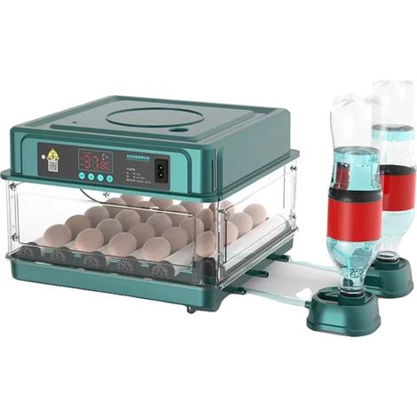 Incubateur automatique, capacité 36 œufs, 24 œufs, pour œufs de volaille, 220V, pour l'incubation à domicile et l'élevage contrôlé de volailles.-AquaForge