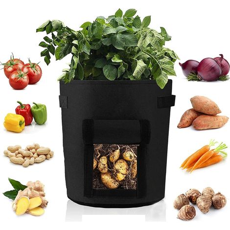 Filiyano-2 sacs de culture pour pommes de terre, sacs de culture pour légumes, tissu non tissé avec fenêtre pour la culture des pommes de terre (2 (1/5)