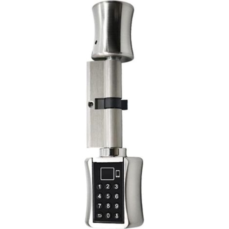 Serrure de porte intelligente Cylindre Bluetooth TUYA App mot de passe empreinte digitale biométrique électronique serrure de porte intelligente clavier numérique Code serrure sans clé ( Color : Silve (1/5)