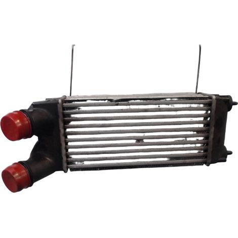 Echangeur Air CITROEN Berlingo Fourgon 2008- [PRODUIT D'OCCASION]♻️0384l9
