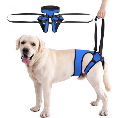 Harnais de Soutien Ajustable pour Chien, Harnais de Soutien pour Pattes arrière,Aide à la Mobilité et aux Déplacements, Support pour Pattes Arrière des Chiens de Toutes Tailles(L) (1/5)