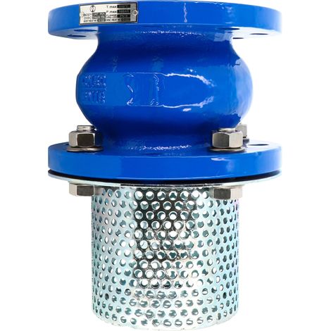 Clapet simple guidage fonte à crépine acier - à brides - Série 368 Ø50