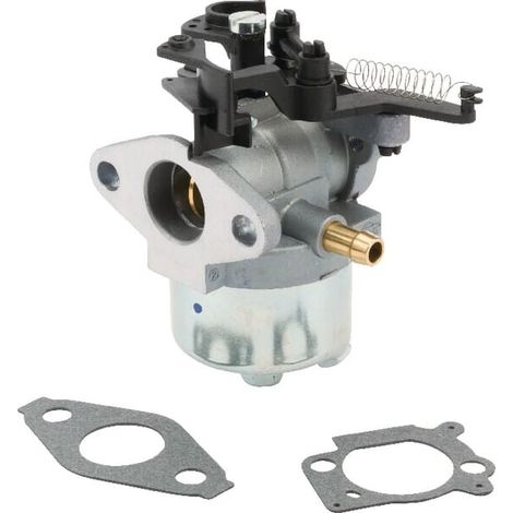 Carburatore BRIGGS ET STRATTON 84001115 (1/2)