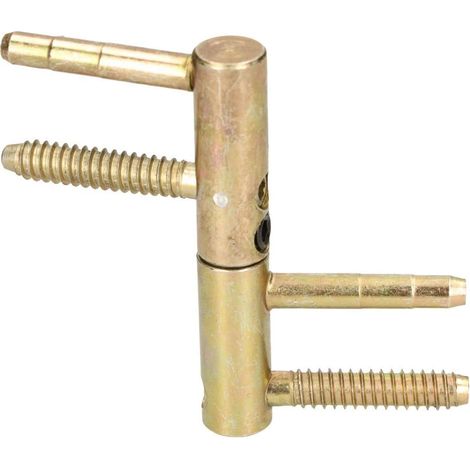Charnière de porte universelle en laiton robuste - 14/16/20 mm - Tête cylindrique réglable (14 mm) - Doré (1/5)