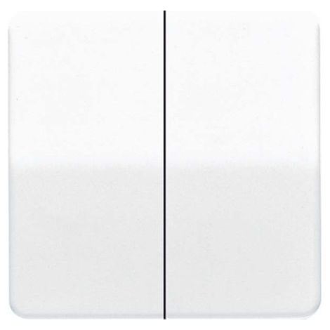 JUNG CD 595 BF WW (CD595BFWW)