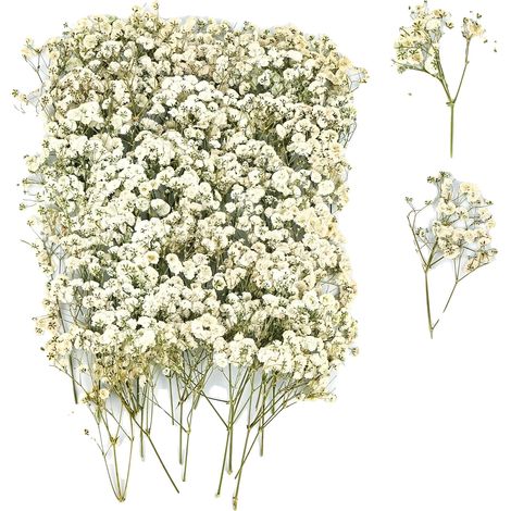 Fiori secchi, estetica naturale, utilizzo versatile, beige
