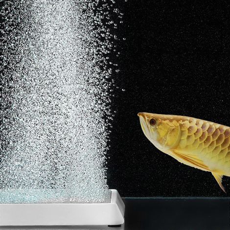 Disque à bulles carré de 5 cm pour aquarium, accessoires pour pompes à air (1/4)