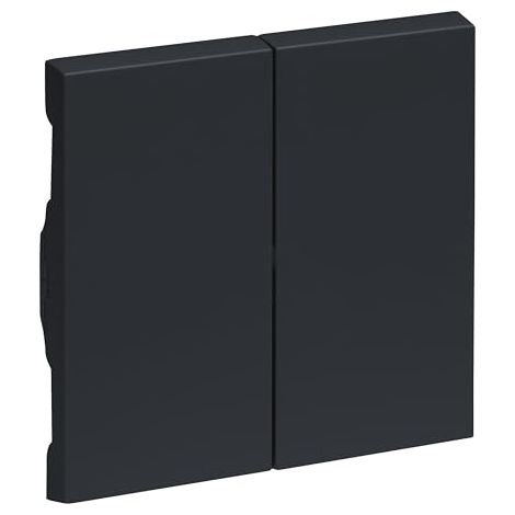 LEGRAND, SEANO 765408 BASCULE SÉRIE POUR INTERRUPTEUR EN SÉRIE, DOUBLE INTERRUPTEUR VA-ET-VIENT ET DOUBLE BOUTON, COUVERCLE D'IN