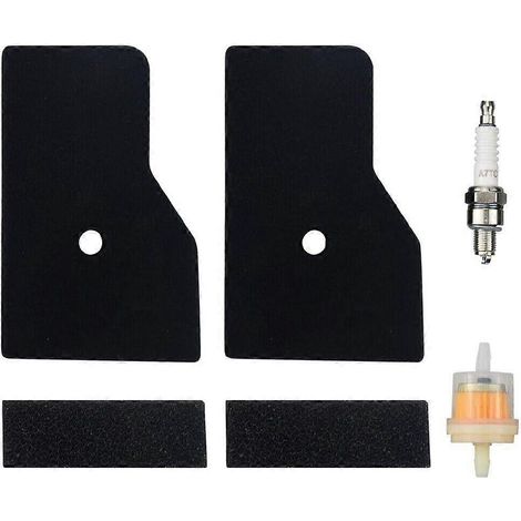 Externes Luftfilterset für Ryobi RYI2000 und RYI2200 Inverter-Generatoren, Set mit 2 Ersatzfiltern (1/3)
