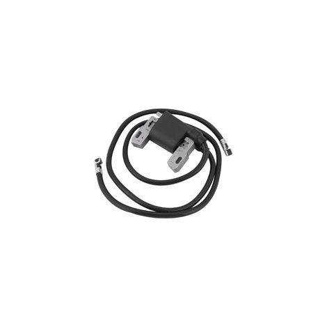 Bobine allumage – pour Briggs & Stratton – armature magnéto 394891 392329 590781