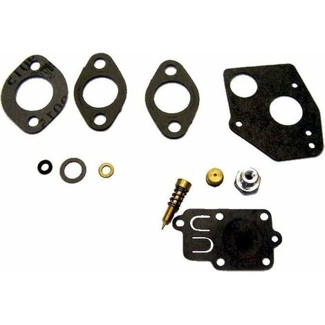 Kit membrane + joint de carburateur pour BRIGGS ET STRATTON (1/3)