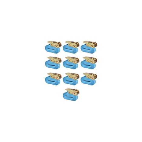 Spanngurte, 10er-Packung, 0,8 Tonnen, 4 m x 25 mm, blau - Crezuo (1/4)
