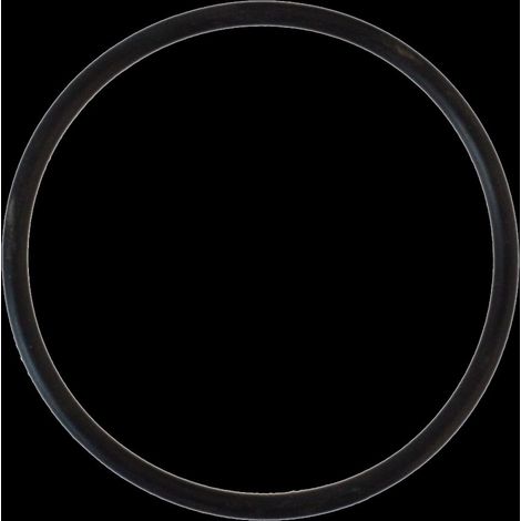 Sanicomfort O-Ring für Heizölfilter