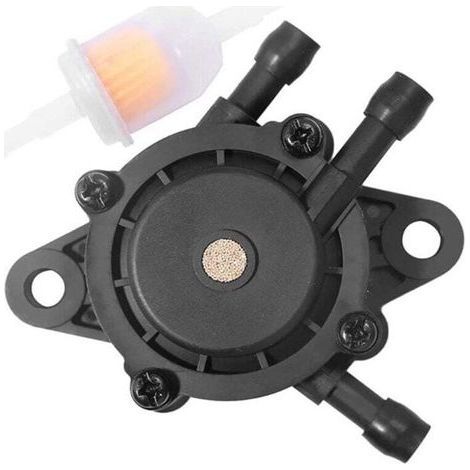 Pompe à Essence pour Moteur Tondeuse Gazon 17HP-25 avec Filtre à Carburant et Vidange (1/4)
