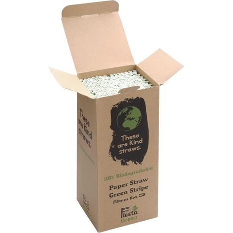 Paille biodégradable en papier Fiesta Green - Vert & blanc - Lot de 250