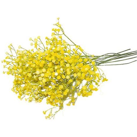 Bouquets de gypsophile artificielle réalistes au toucher réaliste en plastiquejaune (1/5)