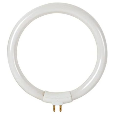 AMPOULE DE RECHANGE DE 12W/T4 POUR VTLAMP8 VELLEMAN LAMP22/8 (1/3)