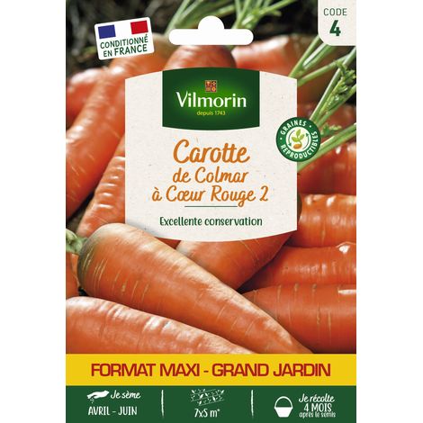 Carotte de Colmar à Cœur Rouge 2 - Grand Modèle Vilmorin (1/2)