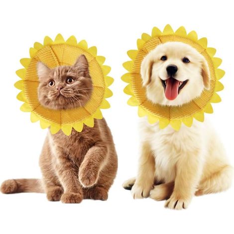 Collier réglable, adapté aux chats et chiots (1/2)