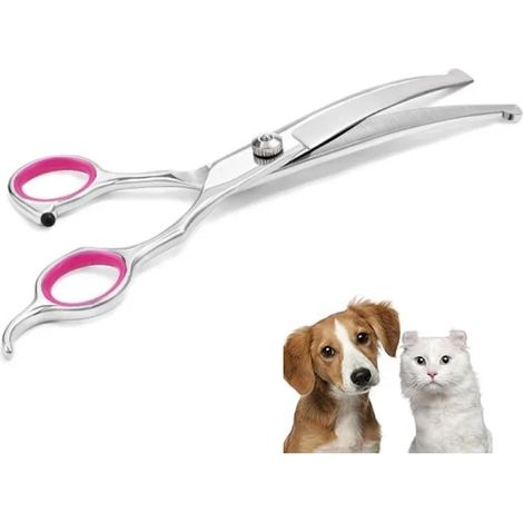Ciseaux de toilettage professionnels pour chiens, 19 cm, à bout arrondi et forme incurvée, pour la coupe et la finition à domicile.-AquaForge (1/5)