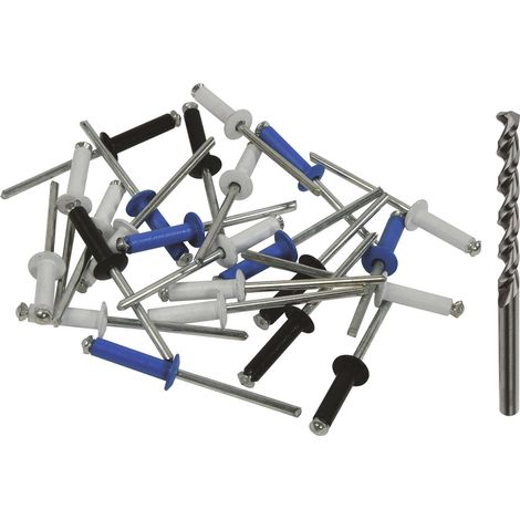 Rivets plaque immatriculation - 24 pièces - Diamètre 4 mm - 1 mèche - Autobest