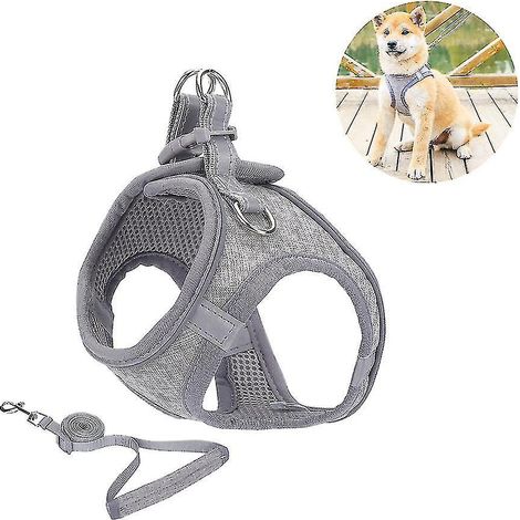 Harnais pour petit chien, harnais pour chiot, ensemble harnais et laisse souples avec collier réfléchissant - XXXS (1/3)