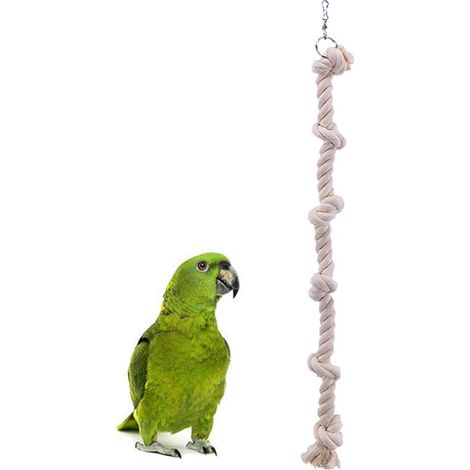 2 Pcs Corde avec 6 Nœuds en Cotton pour Oiseau 40 cm (1/3)