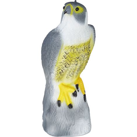 Pajaro asusta a halcon se sienta