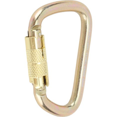 GARRYFIZH Mousqueton de sécurité en forme de D, doré, pour outdoor et alpinisme (1/5)