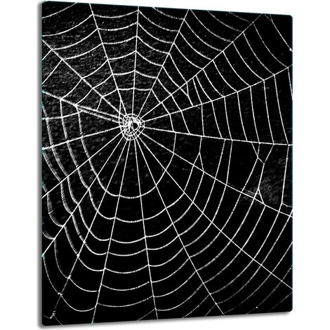 PIASTRA DI PROTEZIONE IN VETRO PER PIANO A INDUZIONE 40x52 NERA (1/5)