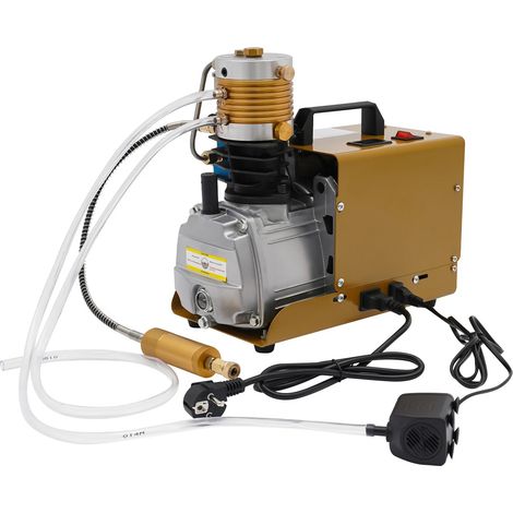 Compressore d'aria automatico da 4500 psi 300 bar - Pompa ad alta pressione - Pompa ad alta pressione per auto, bombola per immersioni industriali