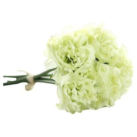 Lot de 5 pivoines artificielles en soie, aux couleurs vives et décoratives, idéales pour un anniversaire.vert (1/5)