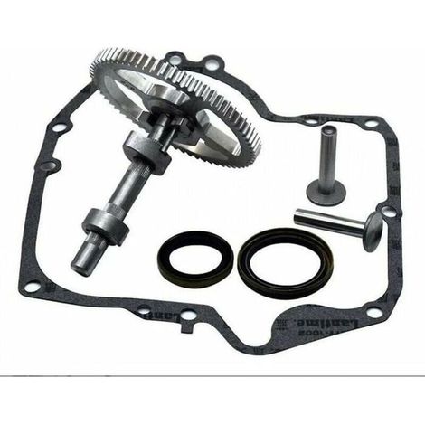 Convient pour Briggs & Stratton 793880 793583 792681 791942 795102 kit de remplacement de came avec joint d\'huile 795387 et joint (1/4)