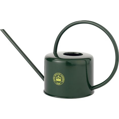 Arrosoir - 1L - Acier Galvanisé - Bec Long Précision - Plantes Intérieur Balcon - Vert (1/5)