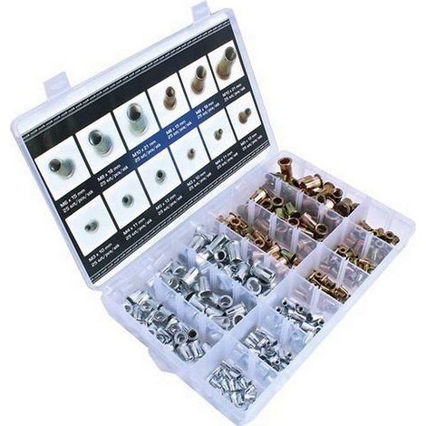 Coffret assortiment de 300 inserts filetes acier galvanise de 3 à 10 mm